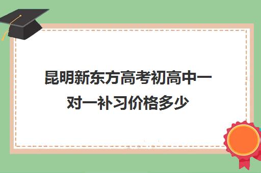 昆明新东方高考初高中一对一补习价格多少