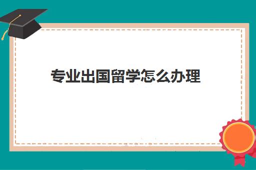 专业出国留学怎么办理(留学可以选择的专业有哪些)