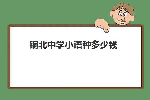 铜北中学小语种多少钱(小语种学下来要多少钱)