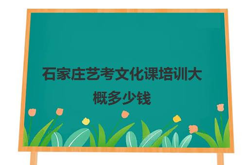 石家庄艺考文化课培训大概多少钱(石家庄艺考生文化课最强学校)