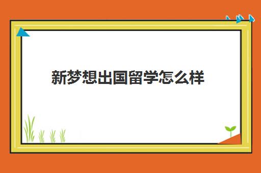 新梦想出国留学怎么样(家境一般怎么出国留学)