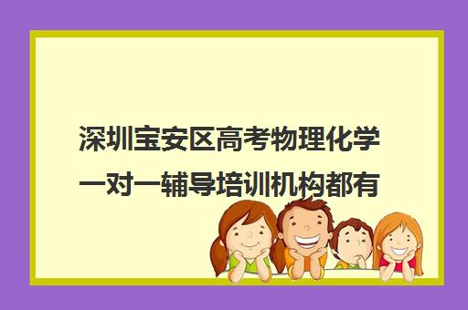 深圳宝安区高考物理化学一对一辅导培训机构都有哪些(深圳高中物理培训老师家在深圳)