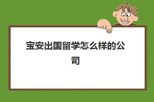 宝安出国留学怎么样的公司(正规留学中介公司)