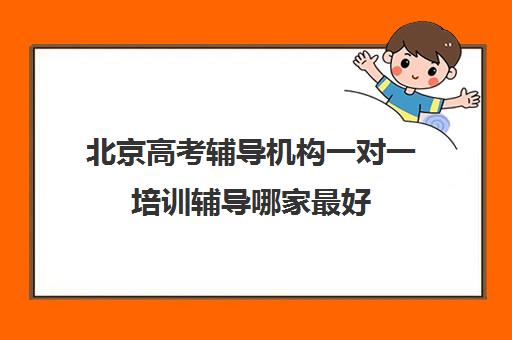 北京高考辅导机构一对一培训辅导哪家最好(高中一对一该怎么辅导)