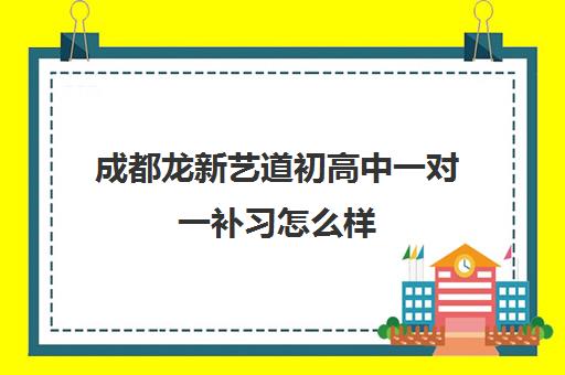 成都龙新艺道初高中一对一补习怎么样