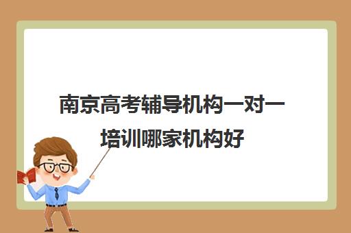 南京高考辅导机构一对一培训哪家机构好(南京一对一教育机构哪家好)