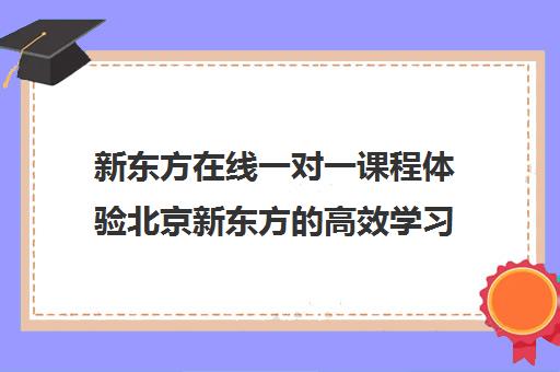 新东方在线一对一课程体验北京新东方的高效学习方案