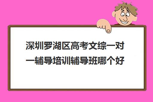 深圳罗湖区高考文综一对一辅导培训辅导班哪个好(高三数学辅导班哪里好)