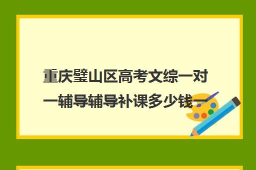 重庆璧山区高考文综一对一辅导辅导补课多少钱一小时(璧山补课机构哪家好)