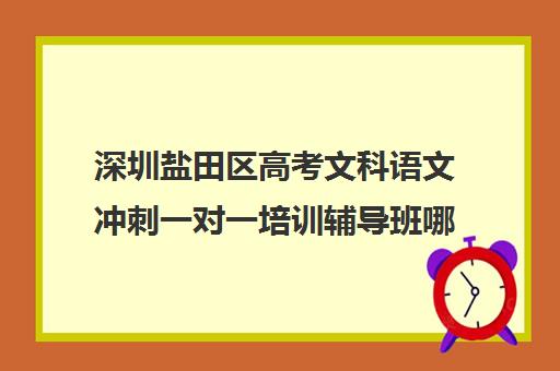 深圳盐田区高考文科语文冲刺一对一培训辅导班哪个好(深圳最好的语文培训机构)