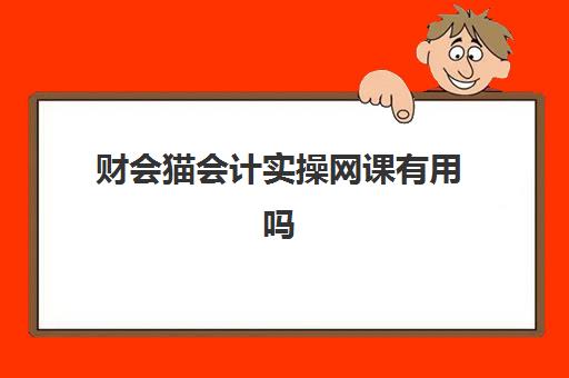 财会猫会计实操网课有用吗(会计证网课哪个好)