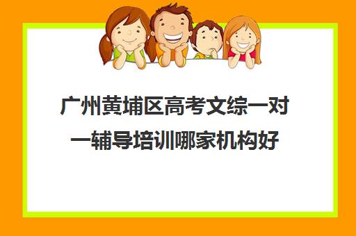 广州黄埔区高考文综一对一辅导培训哪家机构好(高中最好的网上辅导机构)