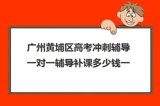 广州黄埔区高考冲刺辅导一对一辅导补课多少钱一小时(广州最厉害的高中补课机构)