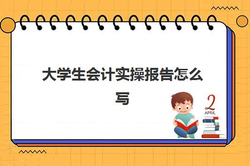 大学生会计实操报告怎么写(会计实训报告过程与内容)