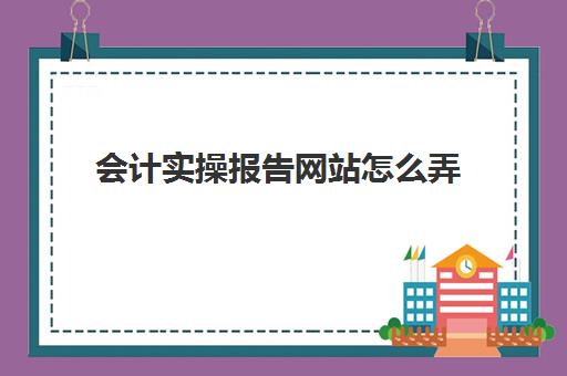 会计实操报告网站怎么弄(会计信息服务平台官网)