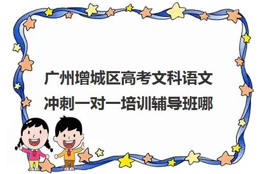 广州增城区高考文科语文冲刺一对一培训辅导班哪个好(广东最出名的高职高考辅导班)