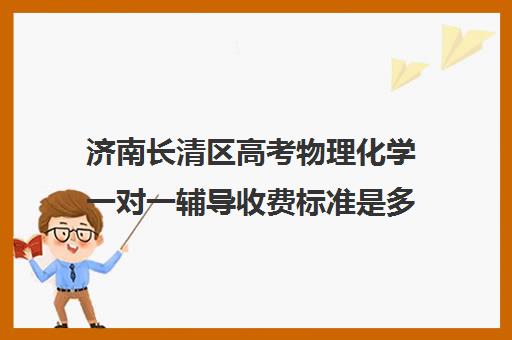 济南长清区高考物理化学一对一辅导收费标准是多少补课多少钱一小时(高中物理补课一般