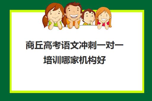 商丘高考语文冲刺一对一培训哪家机构好(郑州高考辅导机构哪个好)