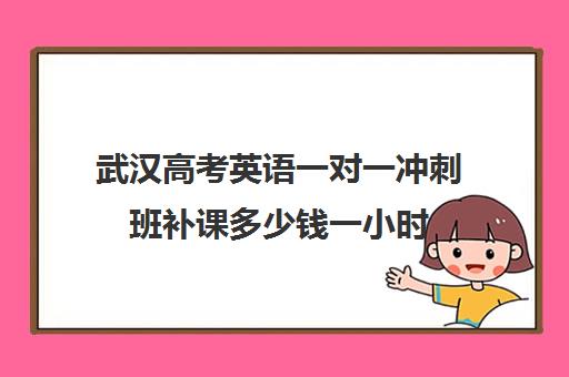 武汉高考英语一对一冲刺班补课多少钱一小时(一对一补课多久有效果)