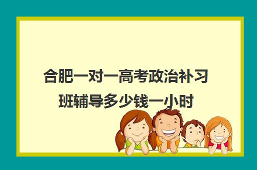 合肥一对一高考政治补习班辅导多少钱一小时