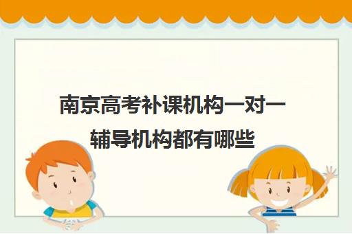 南京高考补课机构一对一辅导机构都有哪些(南京比较好的补课机构)