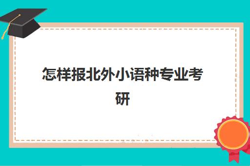 怎样报北外小语种专业考研(小语种本科考研可以选哪些专业)