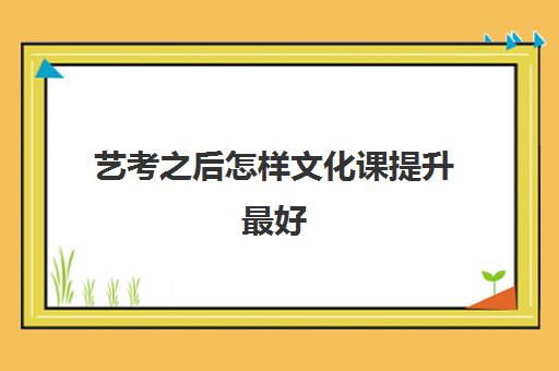 艺考之后怎样文化课提升最好(艺考生的文化课怎样快速提高)