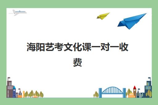 海阳艺考文化课一对一收费(艺考生文化课补课费用)