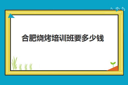 合肥烧烤培训班要多少钱(合肥有月嫂培训班吗)