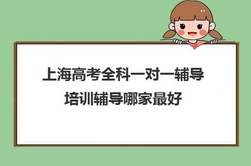 上海高考全科一对一辅导培训辅导哪家最好(上海高中一对一补课多少钱一小时)