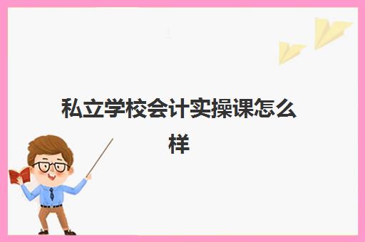 私立学校会计实操课怎么样(会计专业可以去私立学校吗)