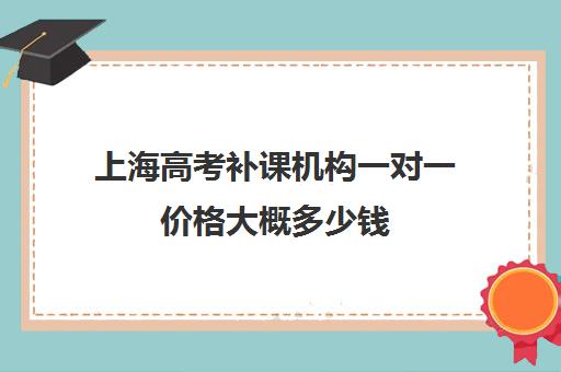 上海高考补课机构一对一价格大概多少钱(高三辅导一对一多少钱)