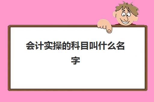 会计实操的科目叫什么名字(会计学课程有哪些科目)