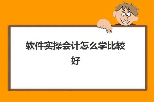 软件实操会计怎么学比较好(软件技术入门最好先学什么)