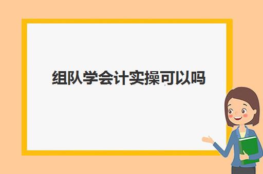 组队学会计实操可以吗(学会计除了做会计能干嘛)