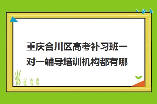 重庆合川区高考补习班一对一辅导培训机构都有哪些