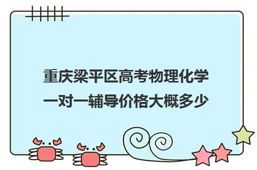 重庆梁平区高考物理化学一对一辅导价格大概多少钱(高中物理一对一辅导价格表)