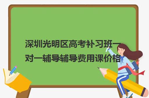 深圳光明区高考补习班一对一辅导辅导费用课价格多少钱