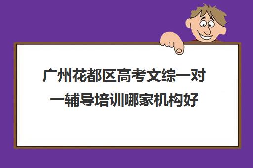 广州花都区高考文综一对一辅导培训哪家机构好(文综一对一有用吗)