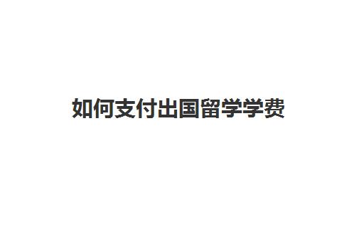 如何支付出国留学学费(出国留学生活费怎么带)