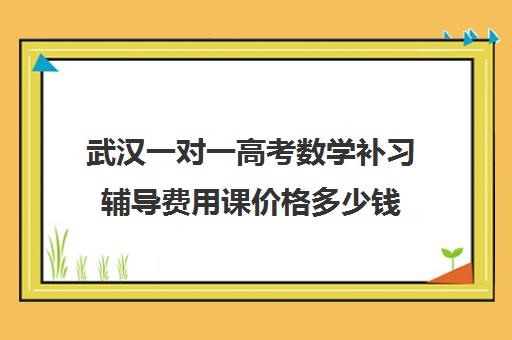 武汉一对一高考数学补习辅导费用课价格多少钱