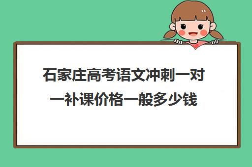 石家庄高考语文冲刺一对一补课价格一般多少钱(高三一对一补课一般多少钱一小时)