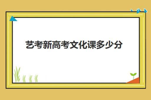 艺考新高考文化课多少分(艺考生和普通考生的区别)