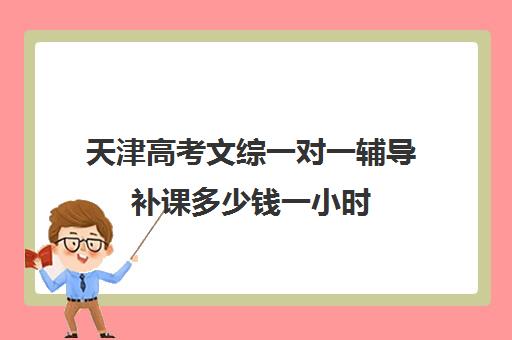 天津高考文综一对一辅导补课多少钱一小时(一对一补课多久有效果)