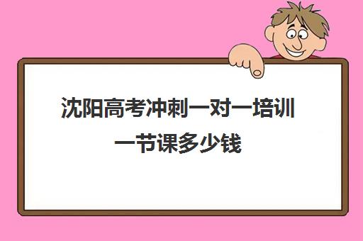 沈阳高考冲刺一对一培训一节课多少钱(沈阳高考冲刺班哪家好)