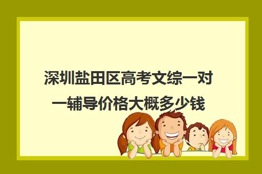 深圳盐田区高考文综一对一辅导价格大概多少钱(深圳哪个补课机构比较好)