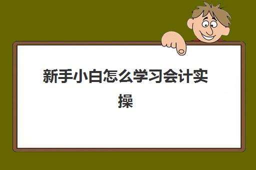 新手小白怎么学习会计实操