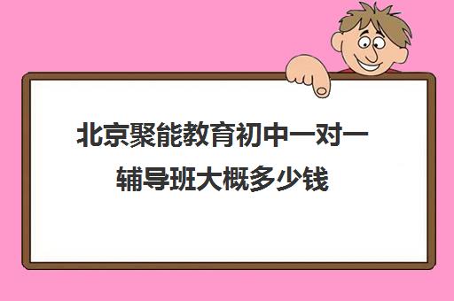 北京聚能教育初中一对一辅导班大概多少钱(100教育一对一辅导)