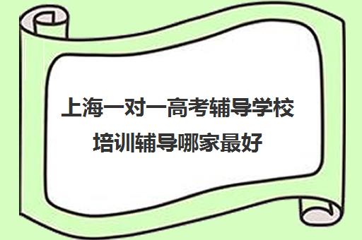 上海一对一高考辅导学校培训辅导哪家最好(上海高考一对一价格)