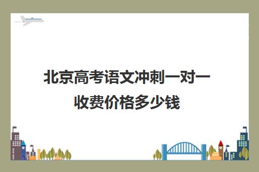 北京高考语文冲刺一对一收费价格多少钱(高考线上辅导机构有哪些比较好)